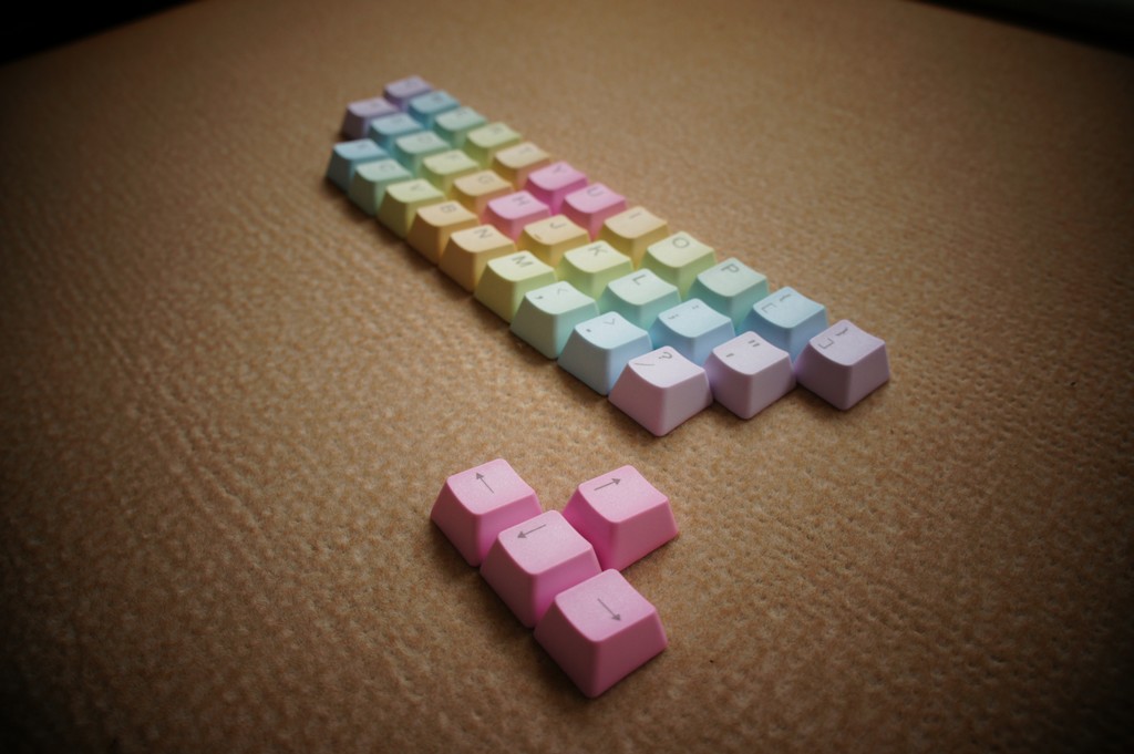 nEO_IMG_DSC01319.jpg