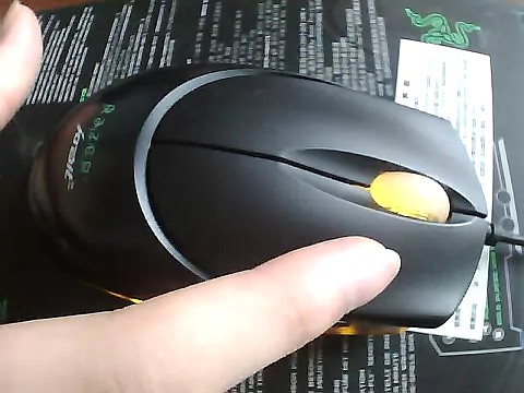 2011-08-02-3.jpg