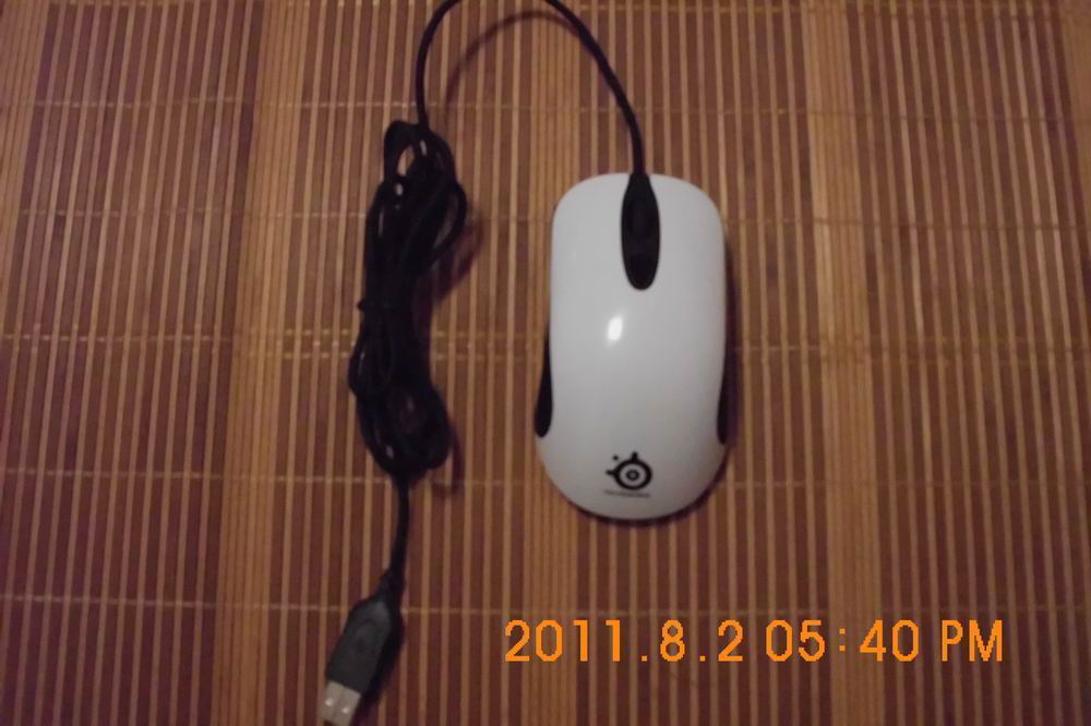 DSCI0229.jpg