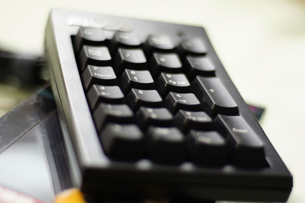 nEO_IMG_DSC01354.jpg