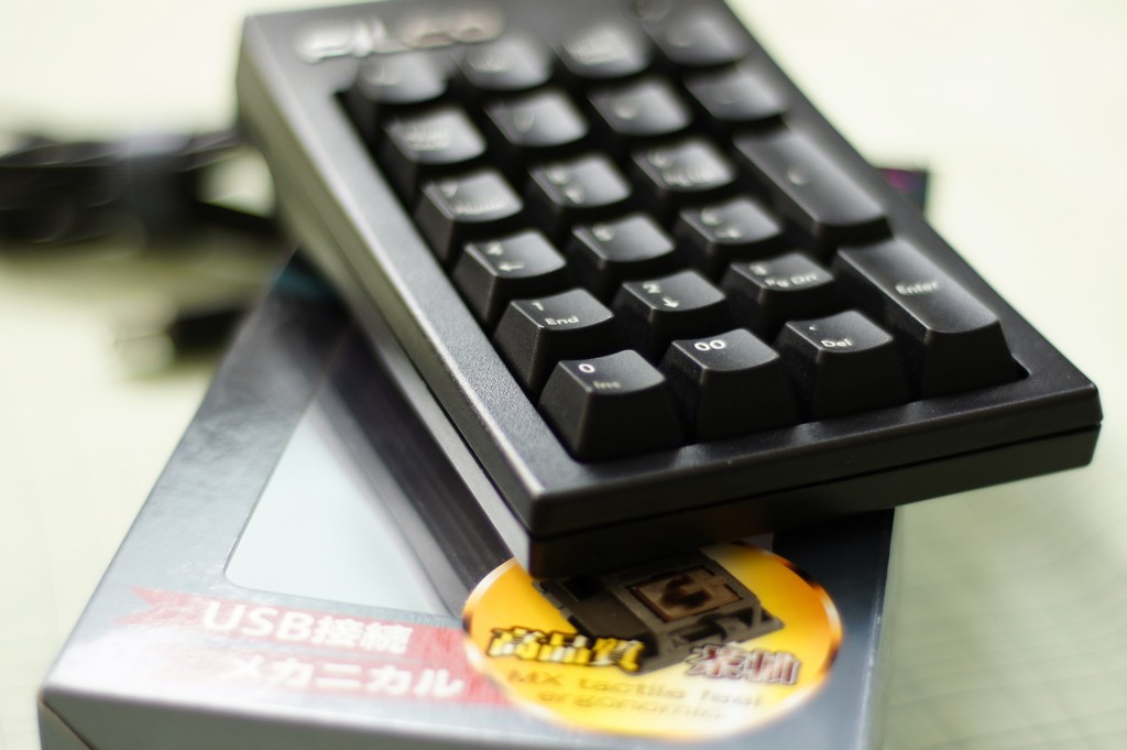 nEO_IMG_DSC01353.jpg