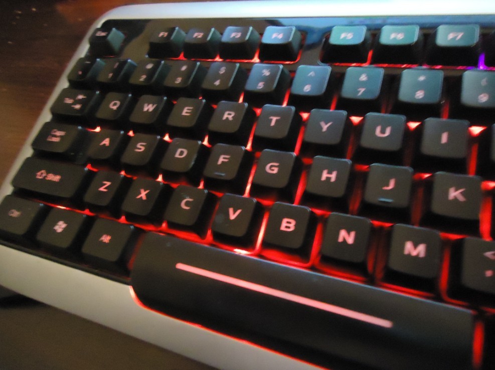578484.jpg