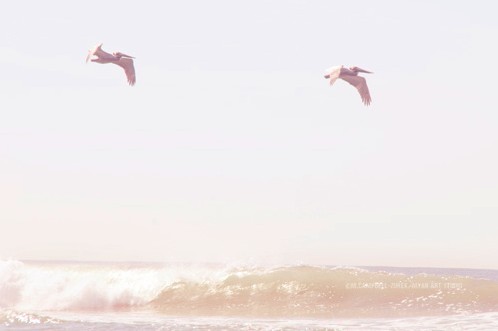 ��ͼ����ͼ��Ψ��ͼ~~~~~~~~