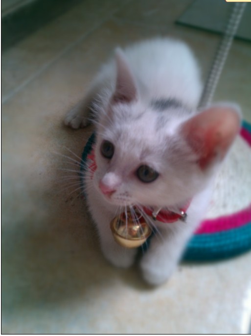 ����Ĳ��ֳɹ���������