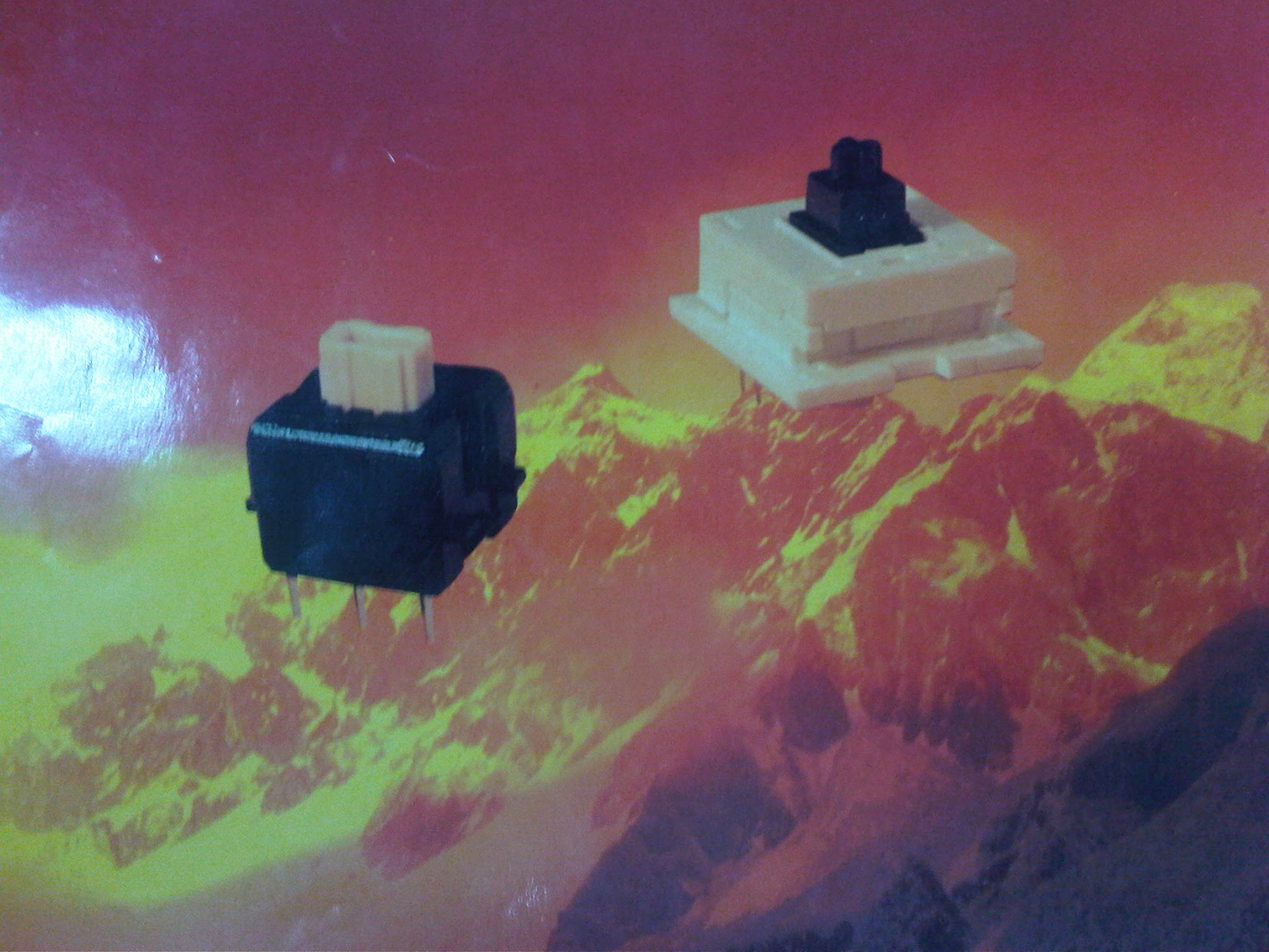 IMG00352-20110808-1256.jpg