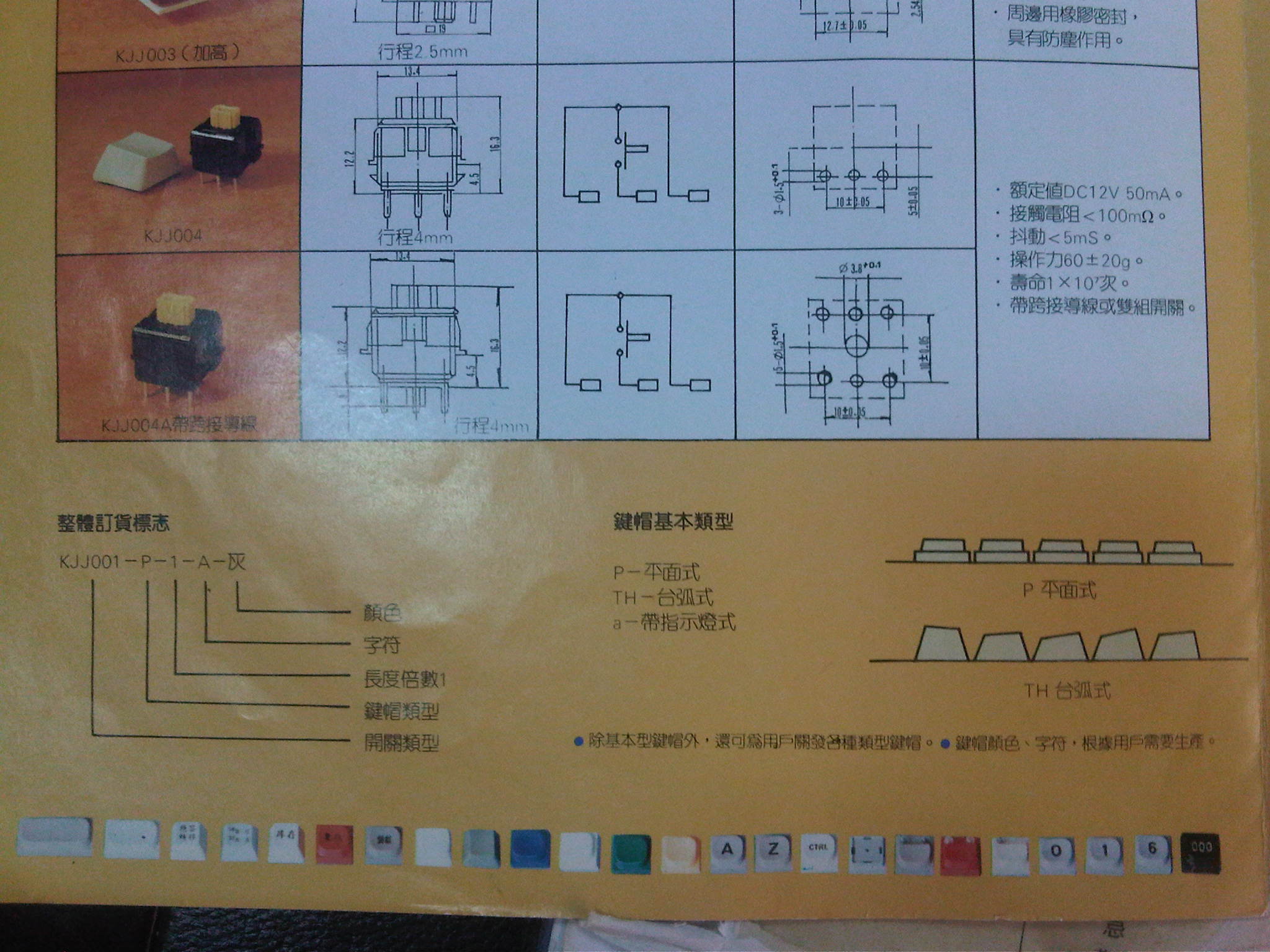 IMG00354-20110808-1258.jpg