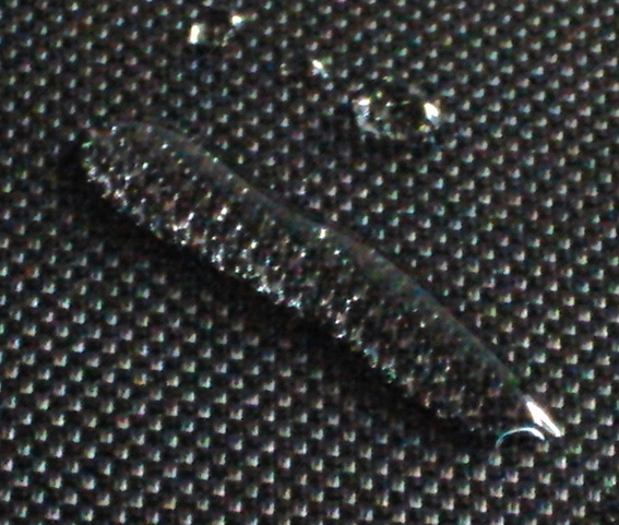 1107291959990fcc3f2cb52b43.jpg