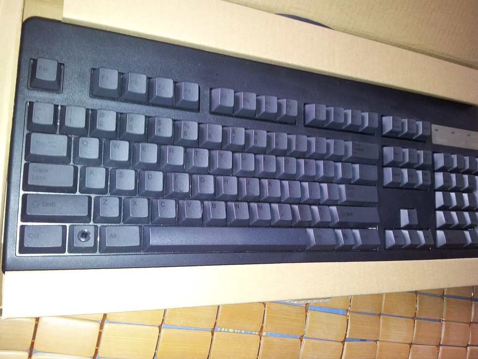 20110809_122542.jpg