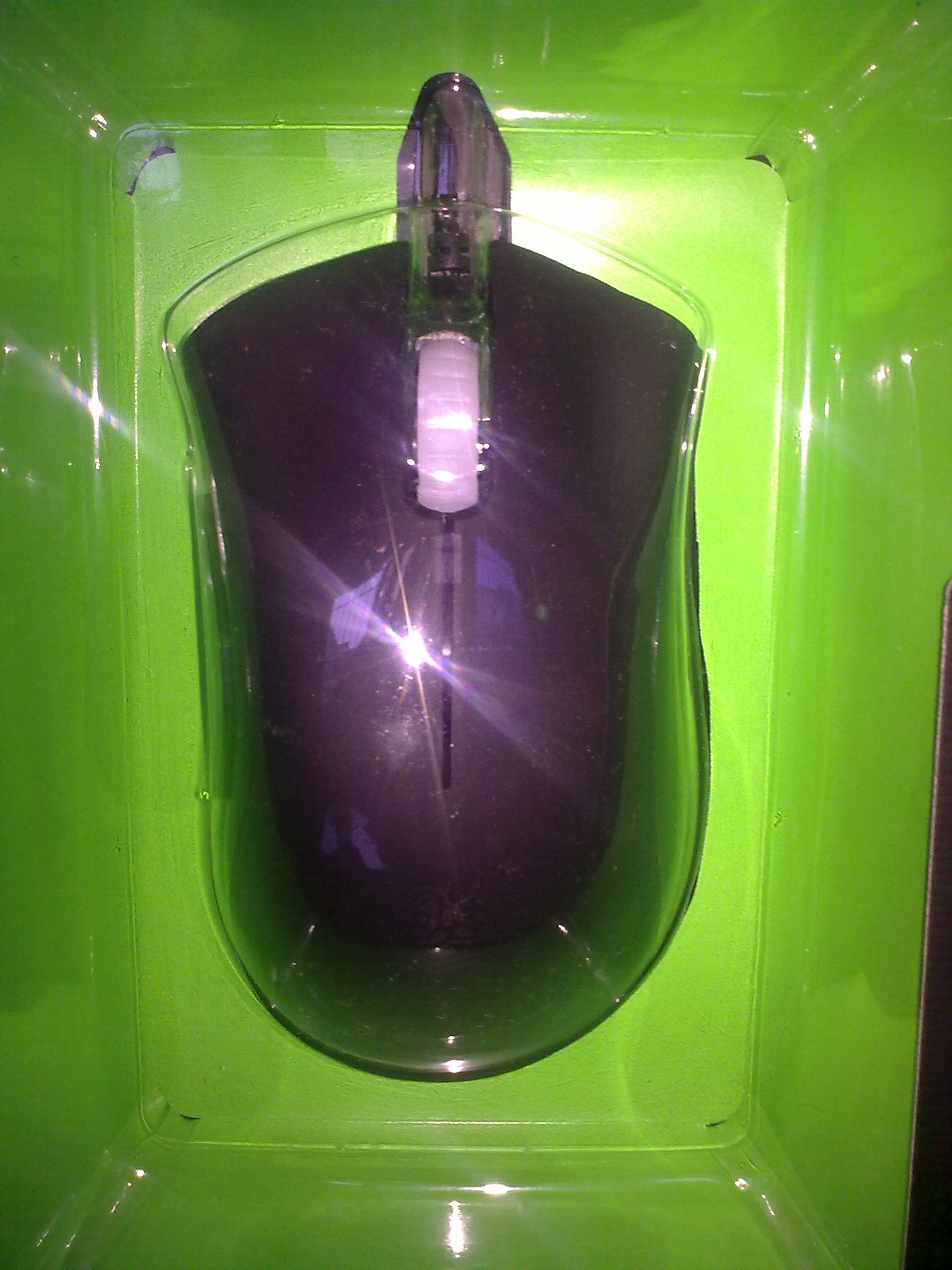 20110810789.jpg