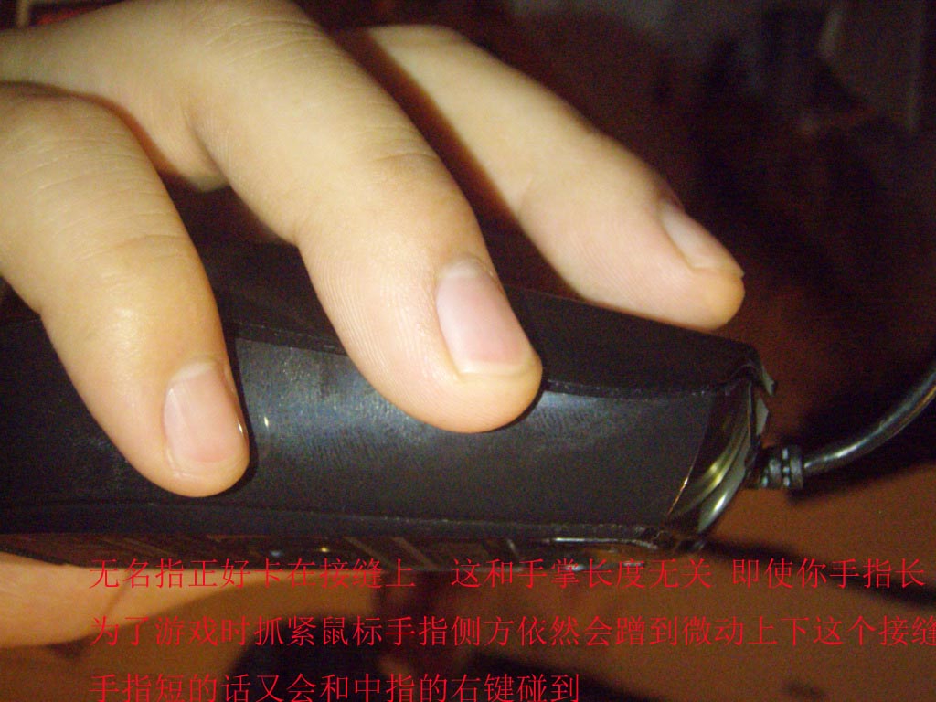 P8112793.jpg