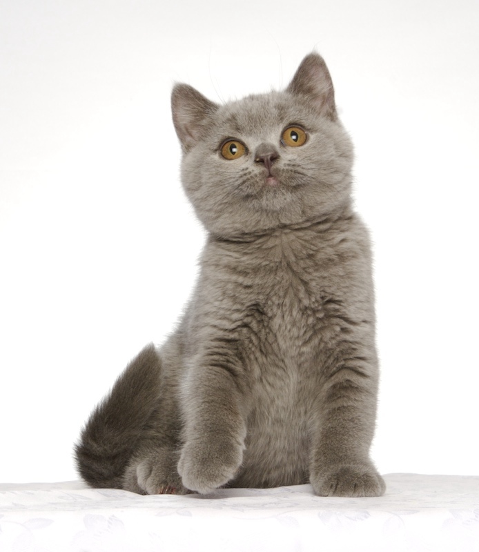 ��ľ�����뿴RB����Ƭ��~~~~