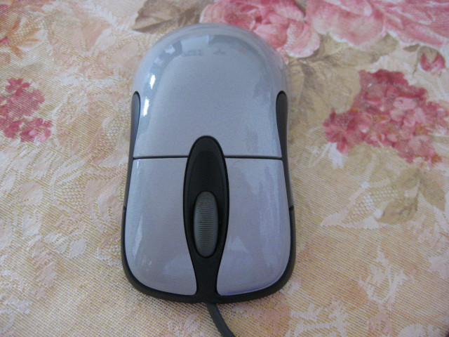 feng le
