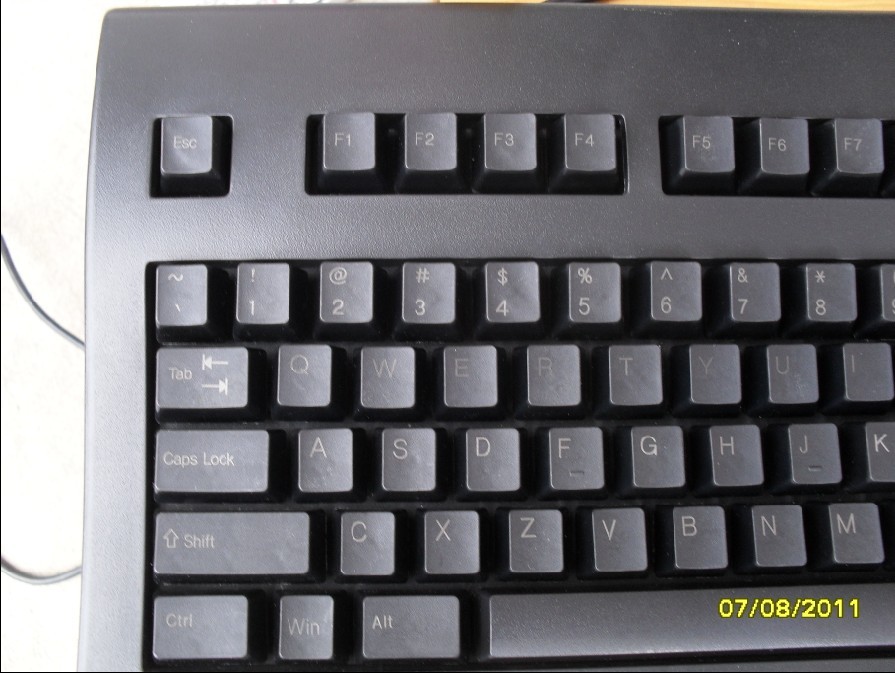 444.jpg