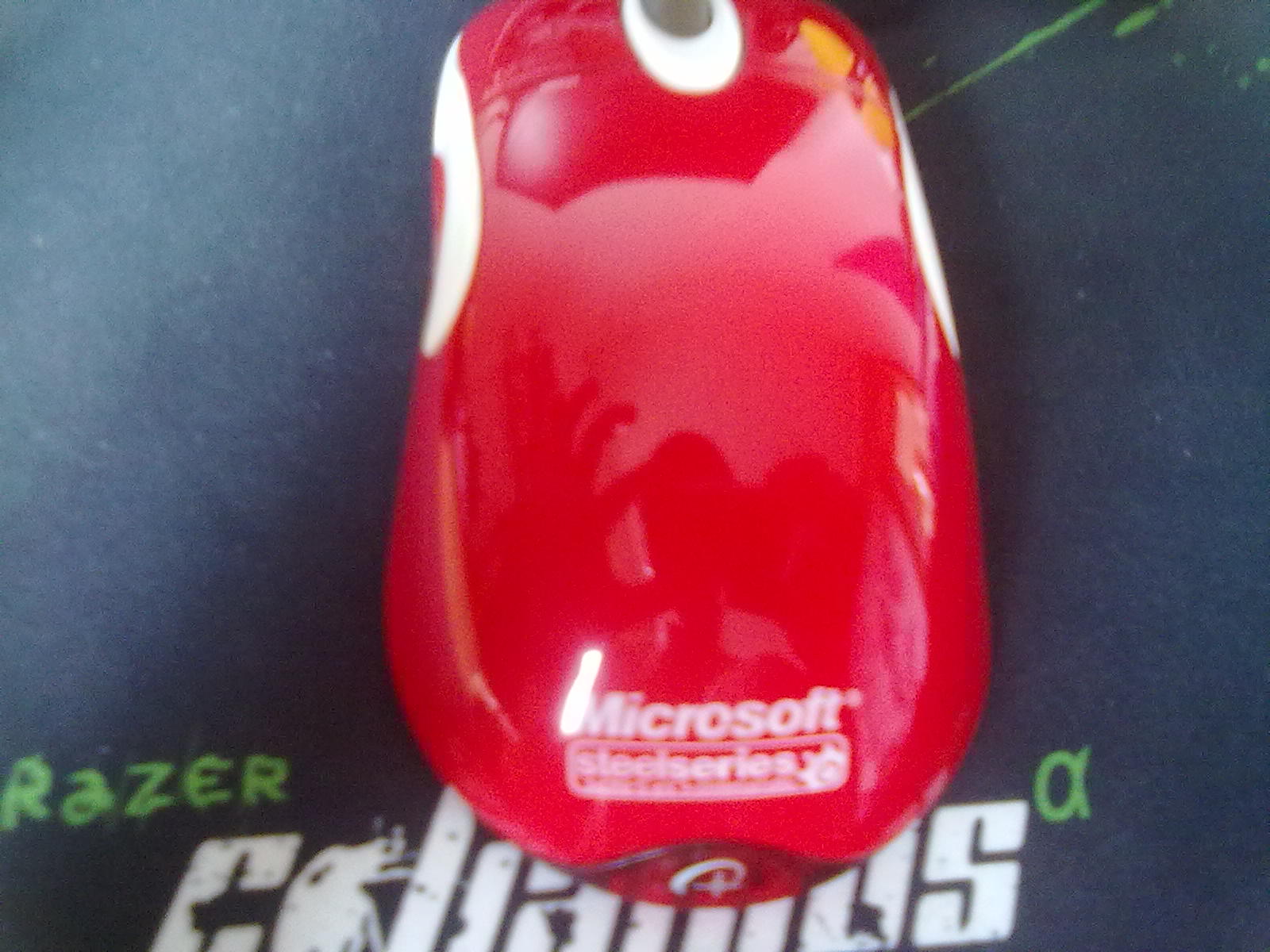 20110807261.jpg