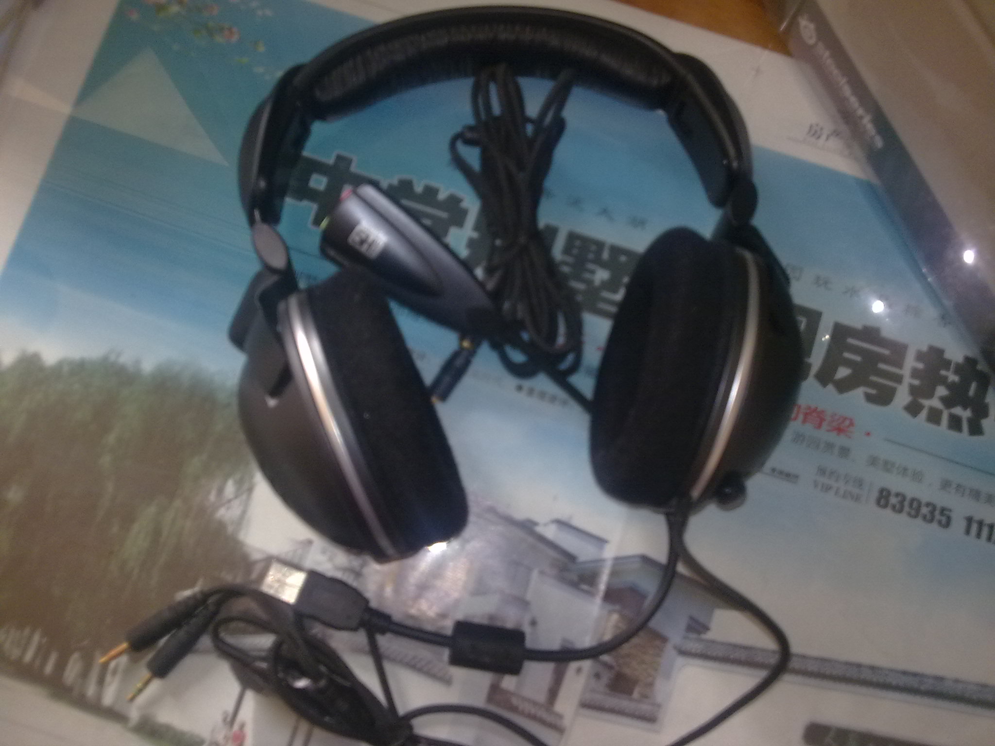 20110705076.jpg