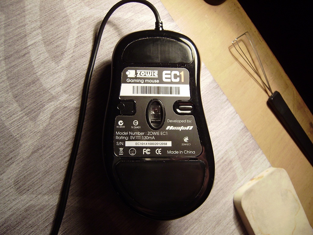 P8120160.JPG