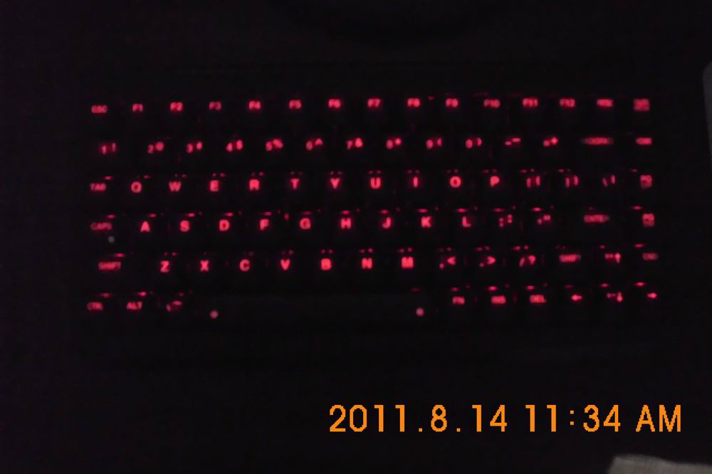 DSCI0240.jpg