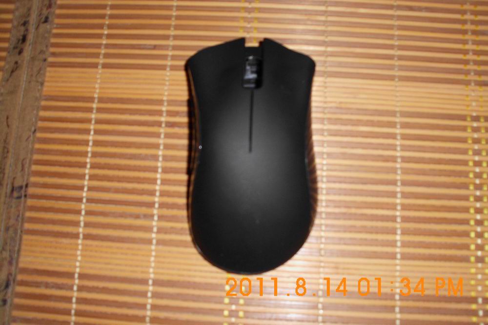 DSCI0253.jpg