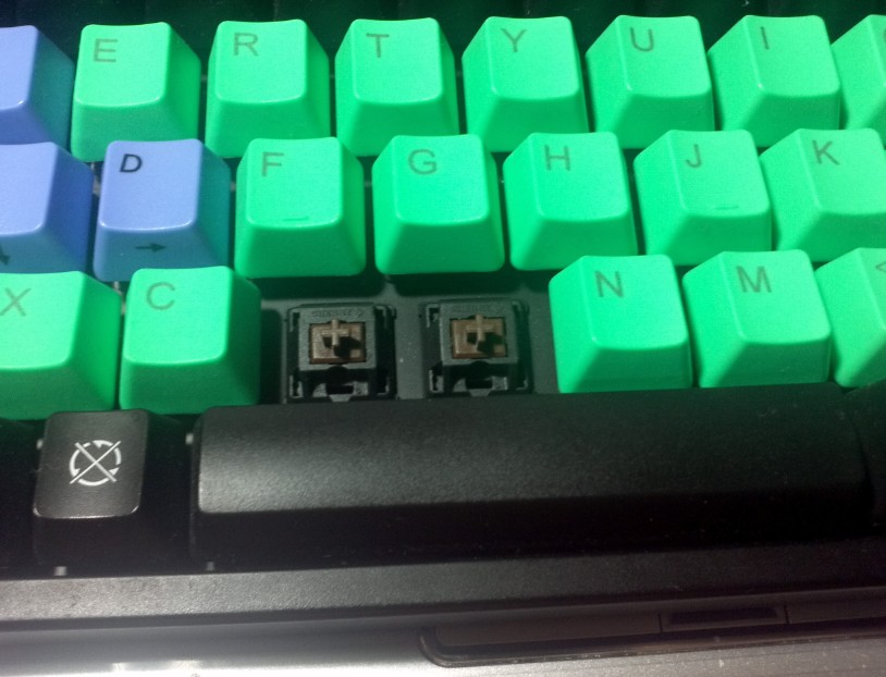 ��5pro����һֻ
