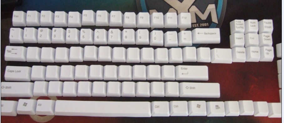 456.jpg