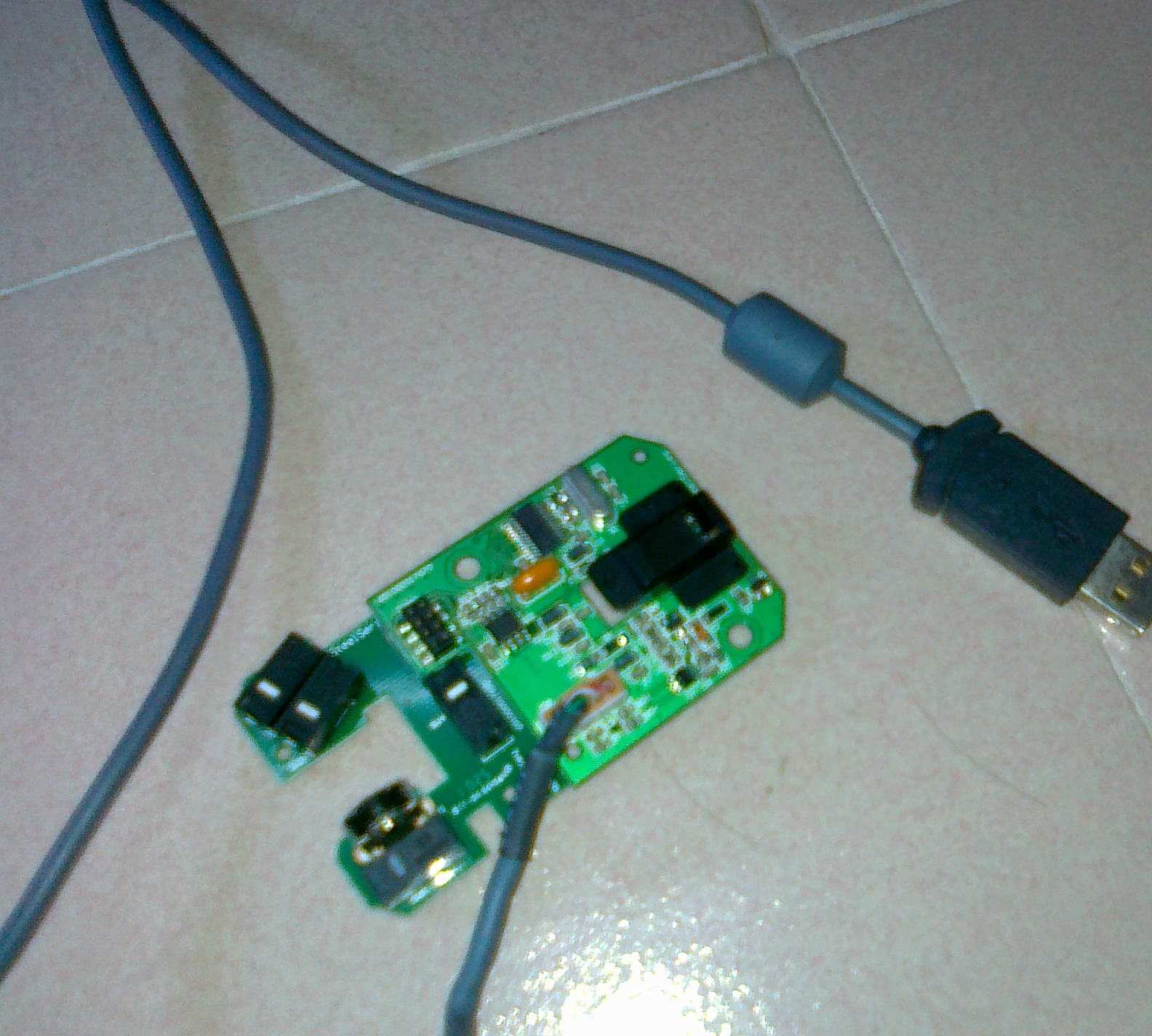 20110818002.jpg