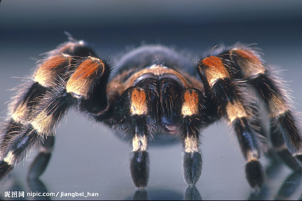 ��˵G300�Ǹ����õ�~~~