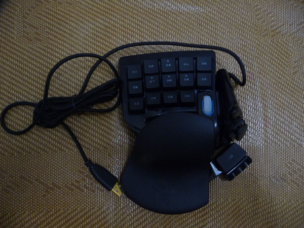 P1010084.JPG