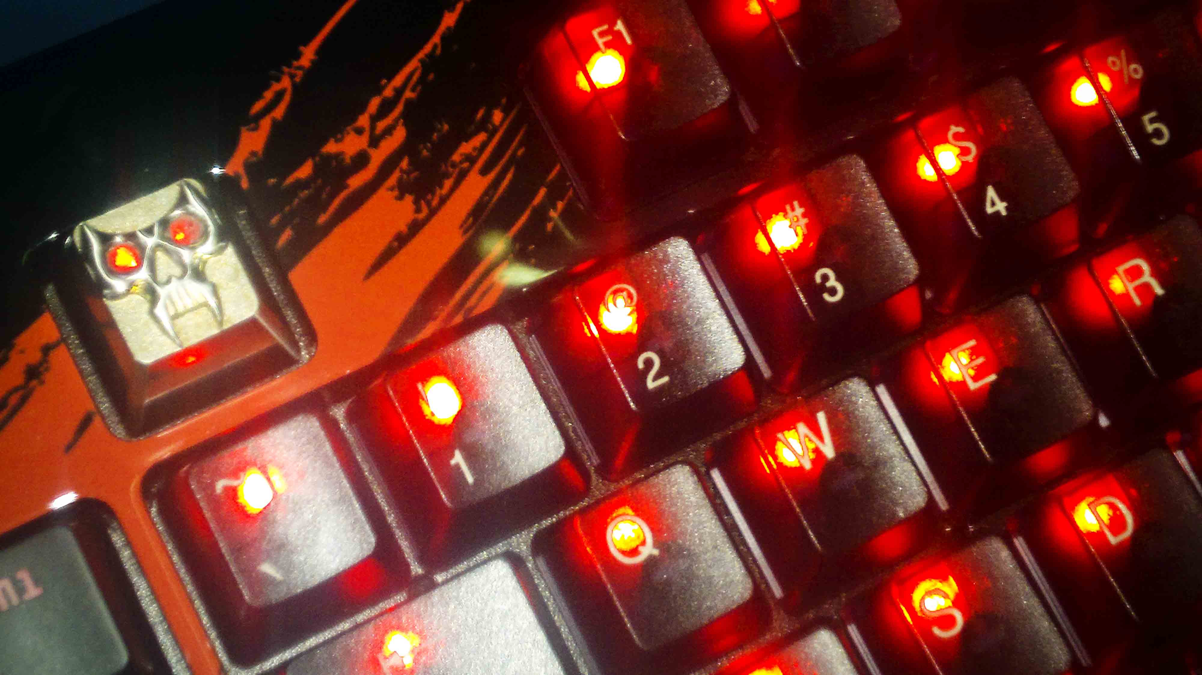 �Ѹ������Ϲ�