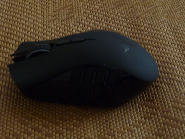 P1010094.JPG