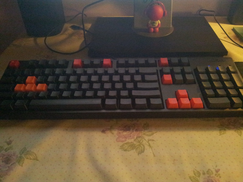 �½��ļ��̡�