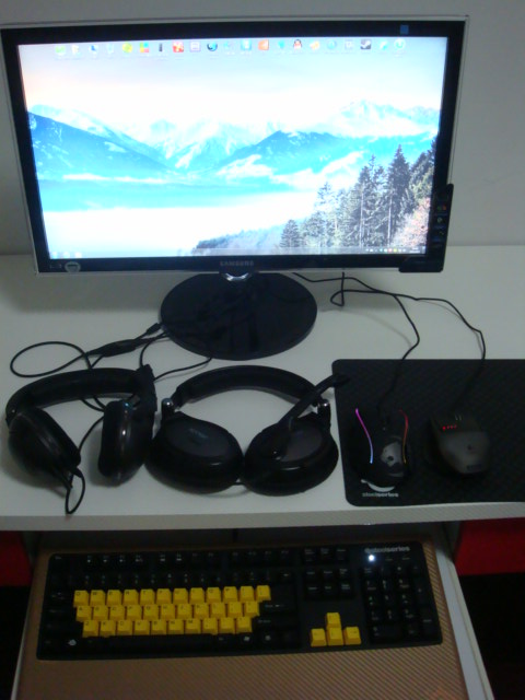 5Hv2  vs  PC350 ˭����CS���߶����� ��������ŮͶƱ����