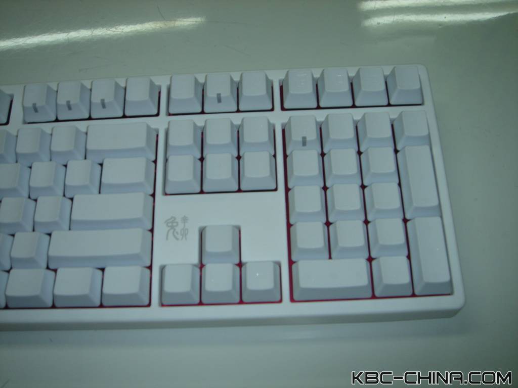 ducky���곤��������~~~��������~~~