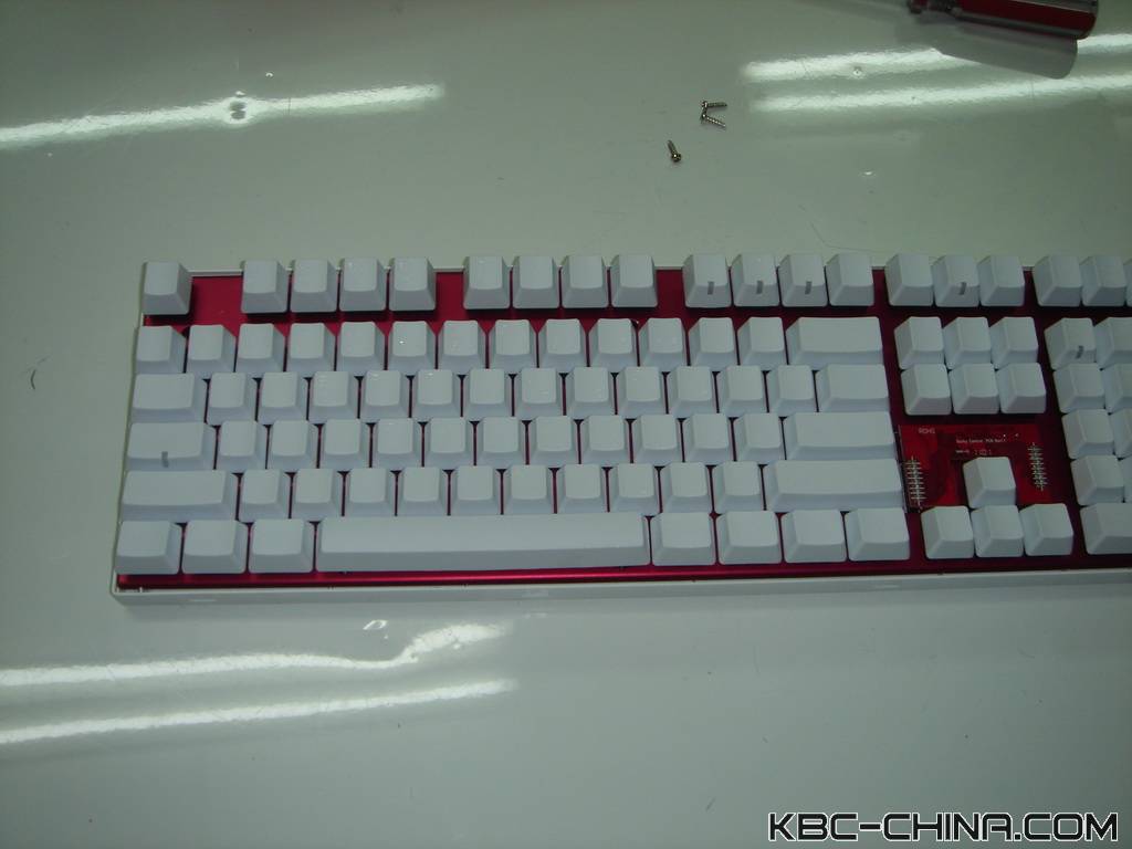 ducky���곤��������~~~��������~~~