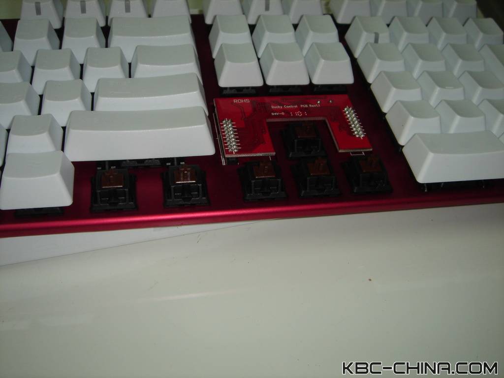 ducky���곤��������~~~��������~~~
