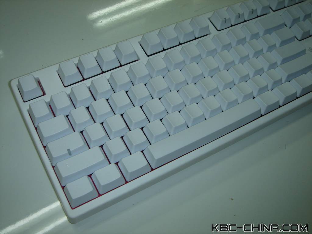 ducky���곤��������~~~��������~~~