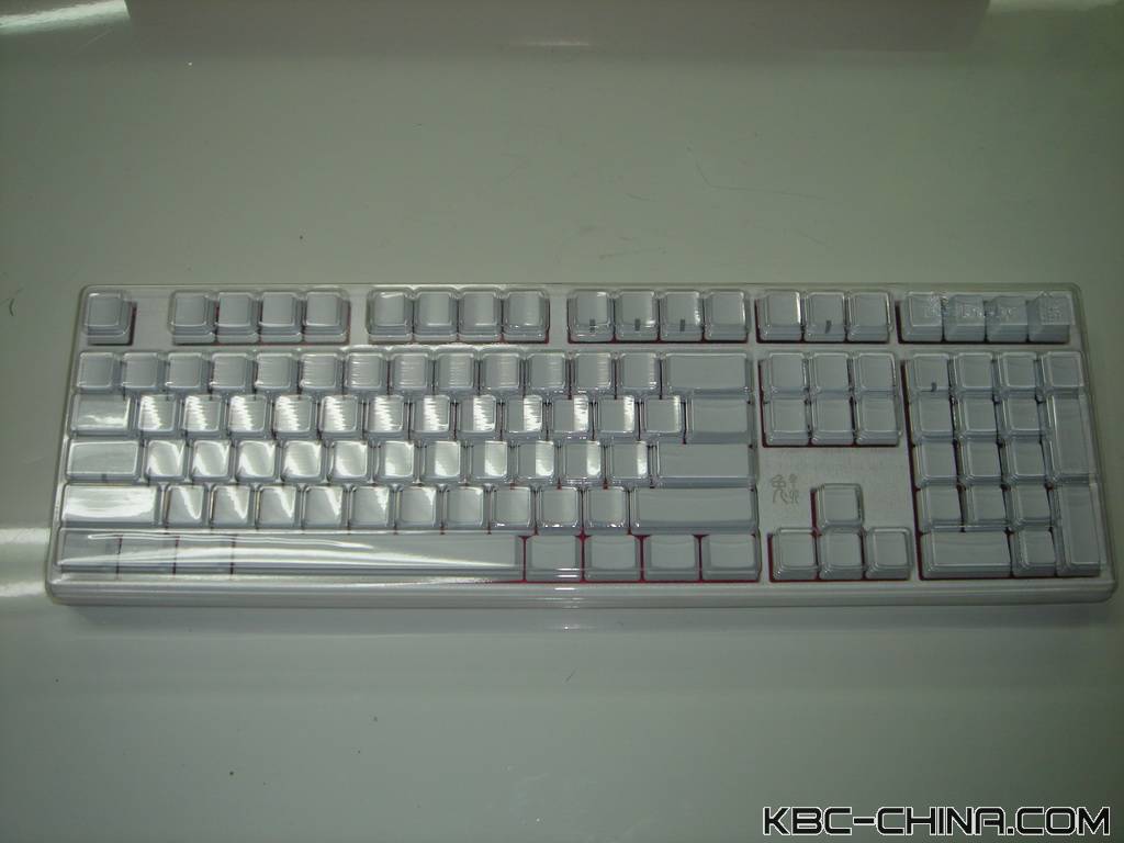 ducky���곤��������~~~��������~~~