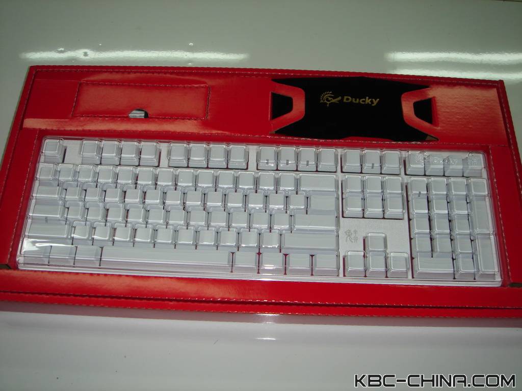 ducky���곤��������~~~��������~~~