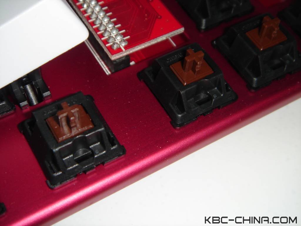 ducky���곤��������~~~��������~~~