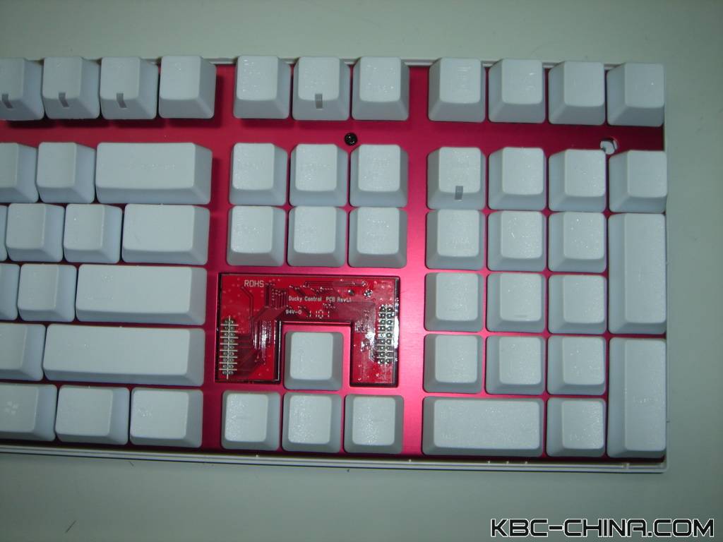 ducky���곤��������~~~��������~~~