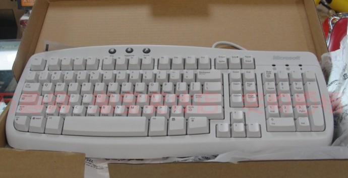 8115ǱĤ~