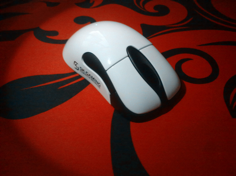 20110822021.jpg