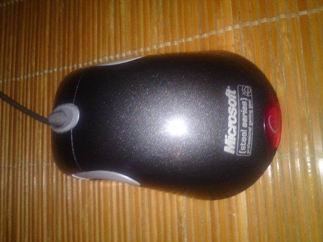 DSC00226.JPG