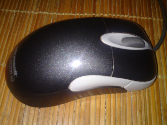 DSC00240.JPG
