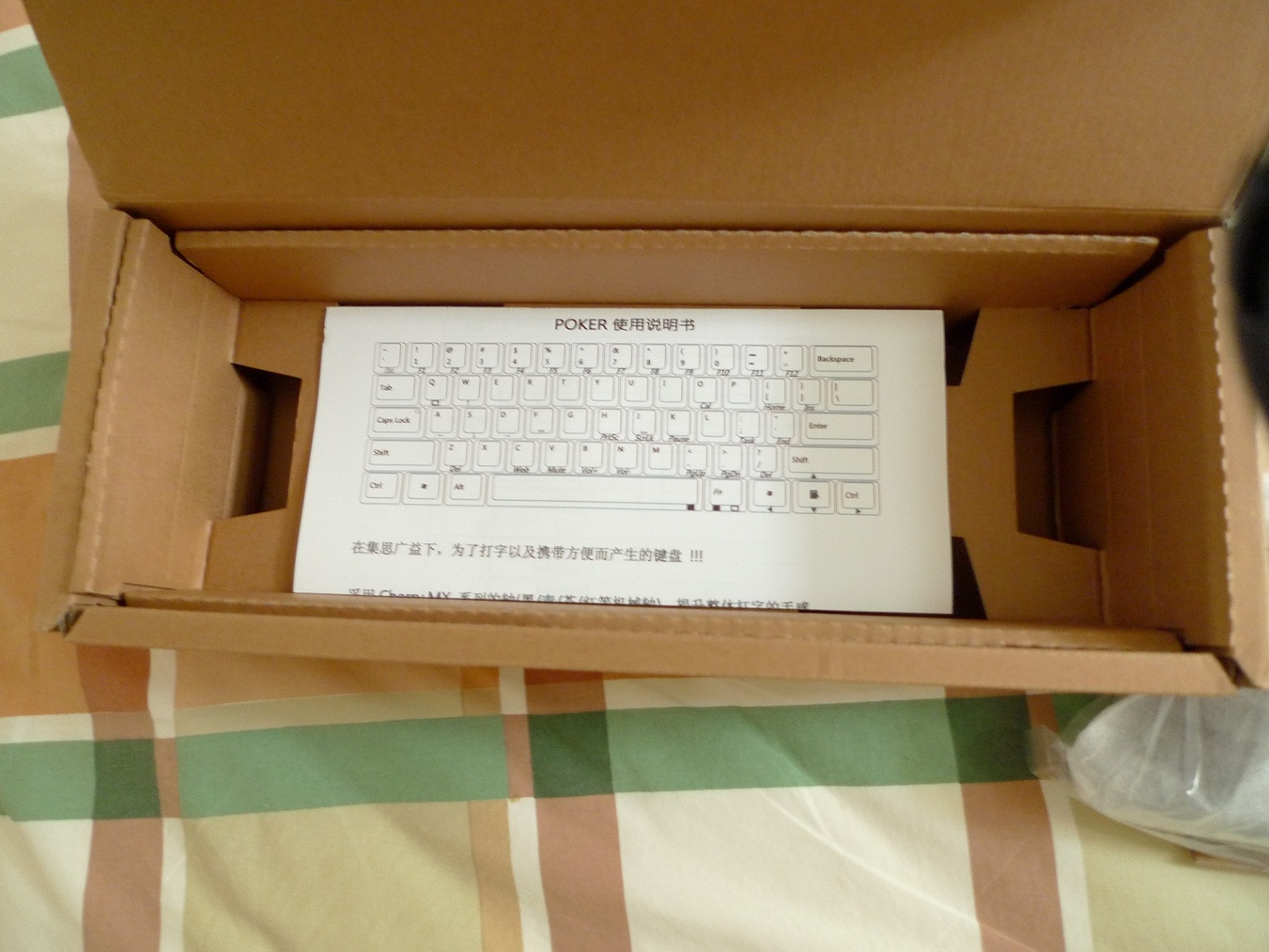 L1000734.JPG