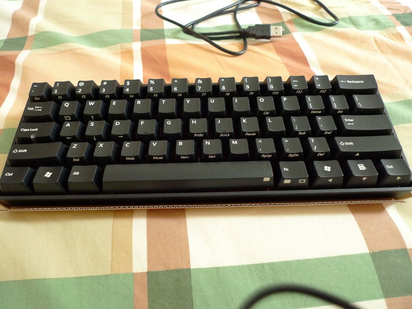 L1000725.JPG