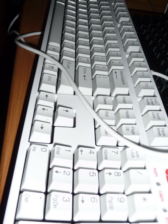 P1030859_��С��С.JPG