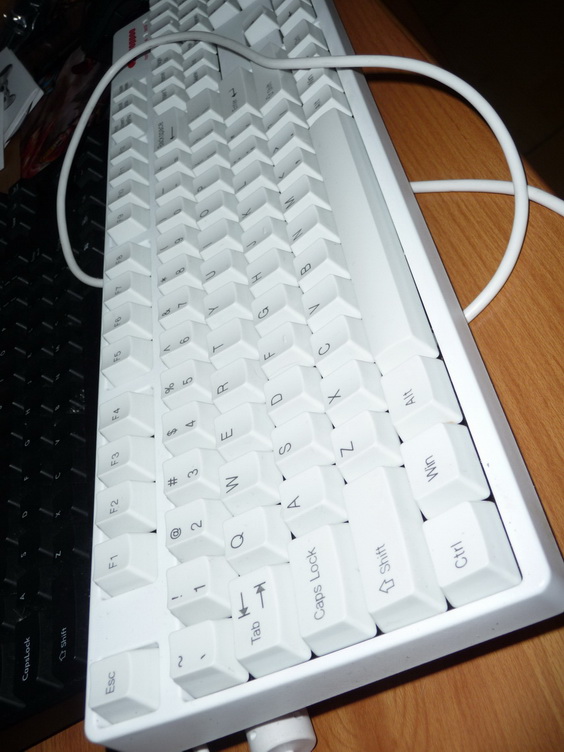 P1030860_��С��С.JPG