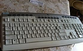 �¼����ͺ� �Ǻ� ��ֻ֪�����޼���