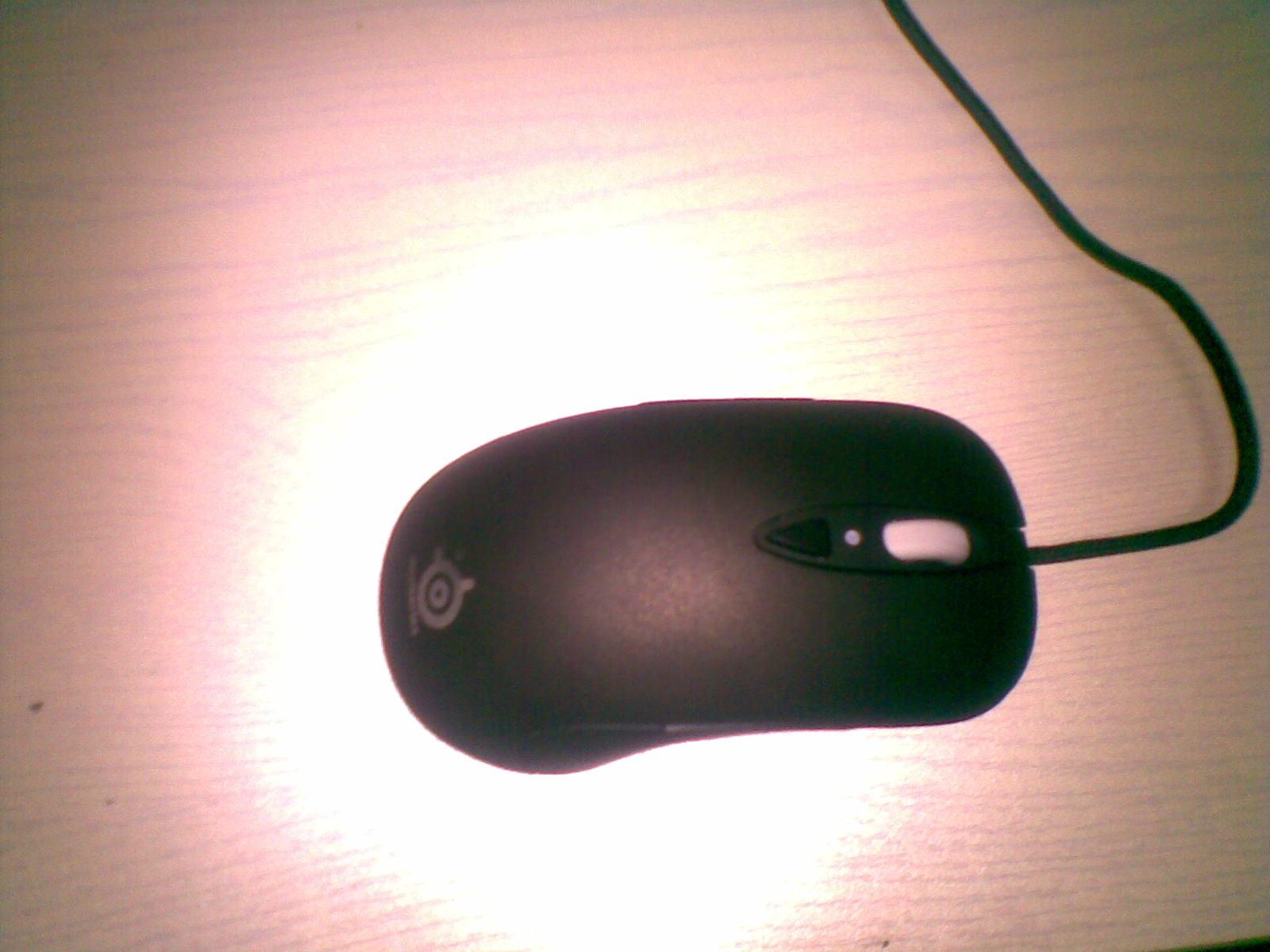 10ZN.jpg