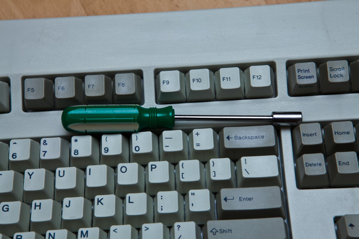 ֹѻɫMODEL M